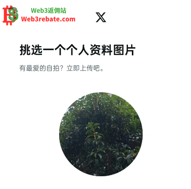 撸毛三件套之Twitter(X)2025最新手动注册图文教程-web3rebate 撸毛三件套之Twitter(X)2025最新手动注册图文教程-web3rebate